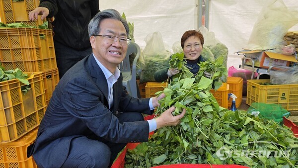 오도창 영양군수가 ‘다시, 봄은 온다’ 영양의 푸른 산천이 회복되길 바라는 마음을 담아 산나물을 선보이고 있다.ⓒ김영삼 기자