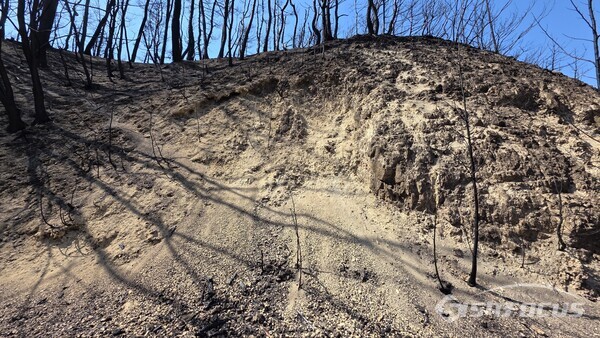 산불이 휩쓸고 간 자리에는 산사태 위험 등으로 복구가 시급하다(흙이 무너지는 모습).ⓒ김영삼 기자