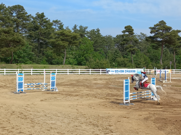 제3회 영천시장배 전국승마대회 경기모습. ⓒ영천시