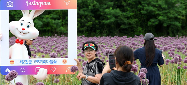 보랏빛 향연 속 인생샷. / 강진군청
