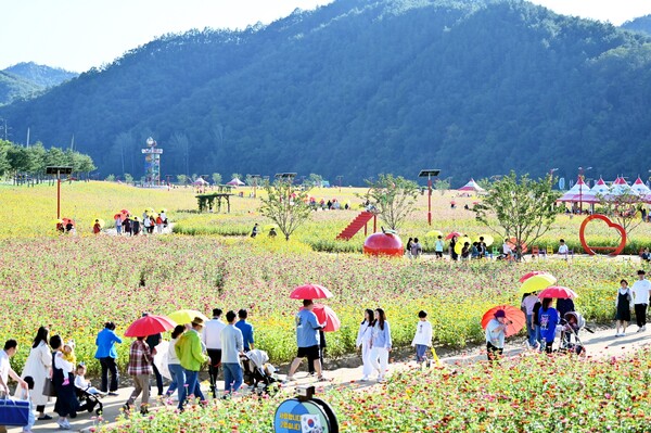 관광객들이 산소카페 청송정원을 즐기고 있다.ⓒ청송군