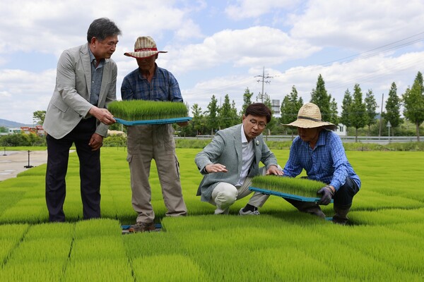김철우 군수가 모판을 함께 보고 있다. 사진/보성군청