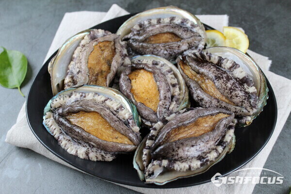 해남 활 전복. 사진/최영남 기자