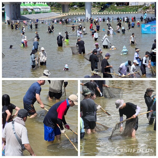 제27회 봉화은어축제 관광객들이 은어 반두잡이 체험을 하며 축제를 즐기고 있다.ⓒ김영삼 기자