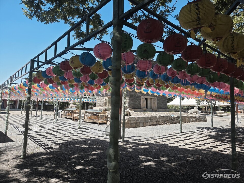 분황사 모전석탑 주변으로 빼곡히 달려 있는 연등 모습. 사진/김인철 기자