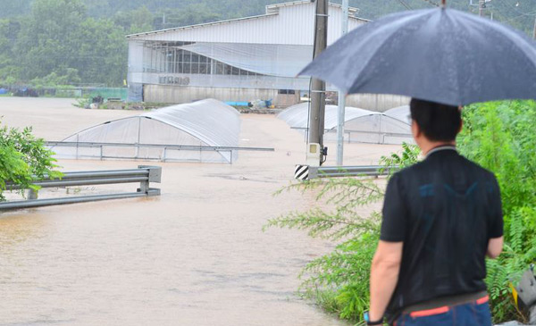 집중호우가 쏟아진 7월17일 충북 청주시 흥덕구 오송읍 상봉2리의 비닐하우스가 물에 잠겨 있다. ⓒ뉴시스