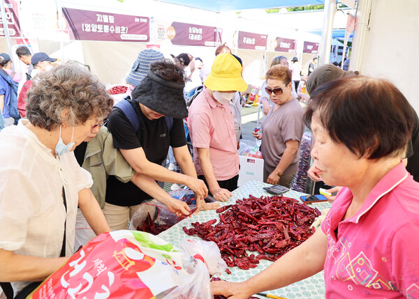 지난해 영양고추 H.O.T 페스티벌 모습.ⓒ영양군