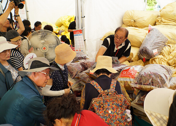 수도권 소비자들이 2025 영양고추 H.O.T Festival에서 영양고추를 매입하고 있다..ⓒ영양군