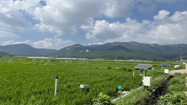 저탄소 농업 시범사업 대상지(해남군 계곡면). 사진/해남군청