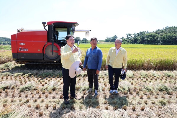 김산 무안군수가 조생종 벼 수확 현장을 방문했다. 사진/무안군청