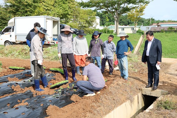 김산군수가 배추정식 실습장을 찾아 교육생들을 격려했다. 사진/무안군청