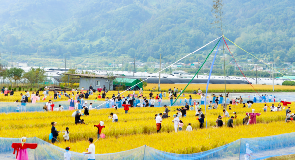 성주군은 오는 18일부터 19일까지 이틀간 수륜면 어울림마당 일원에서 가을 대표 축제인 ‘2025 성주가야산 황금들녘 메뚜기축제’를 개최한다.ⓒ성주군