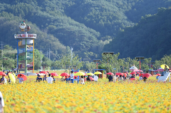 산소카페 청송정원이 올해 추석 연휴 기간 5만 명 이상의 방문객을 맞이하며 지역 대표 관광지로 확고히 자리잡고 있다.ⓒ청송군