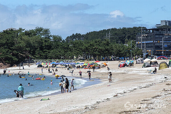 사진은 기사내용과 직접적인 관련 없는 자료화면 / ⓒ시사포커스DB
