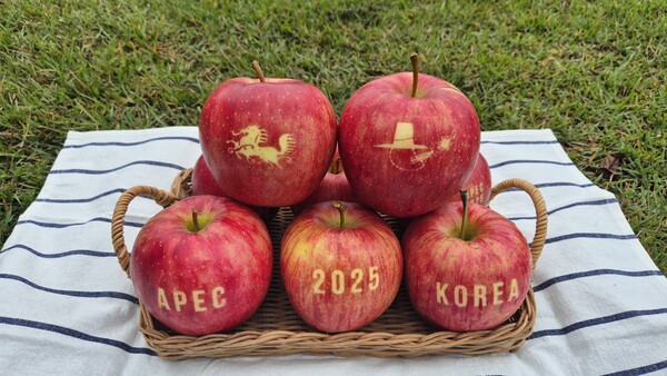 경북농업기술원이 생산한 ‘문자사과’ⓒ경북도