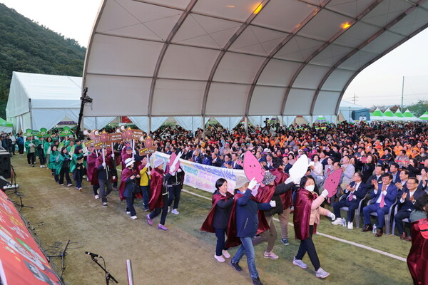 해남미남축제 읍면 퍼레이드. 사진/해남군청