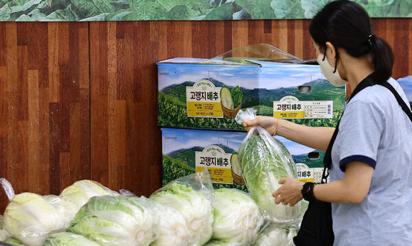 시중 마트에서 배추를 구매하고 있는 소비자 / ⓒ뉴시스