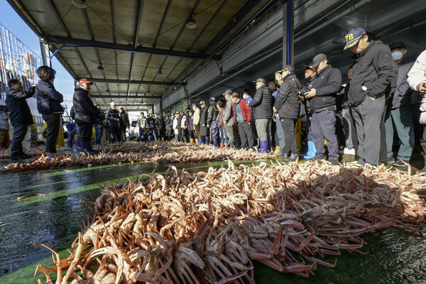 지난 3일 경북 영덕군 강구항 위판장에서 금어기를 마치고 첫 대게 경매가 진행되고 있다.ⓒ영덕군