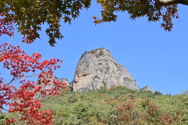  11월 초 주왕산의 단풍이 관광객들의 발길을 사로잡고 있다.ⓒ청송군