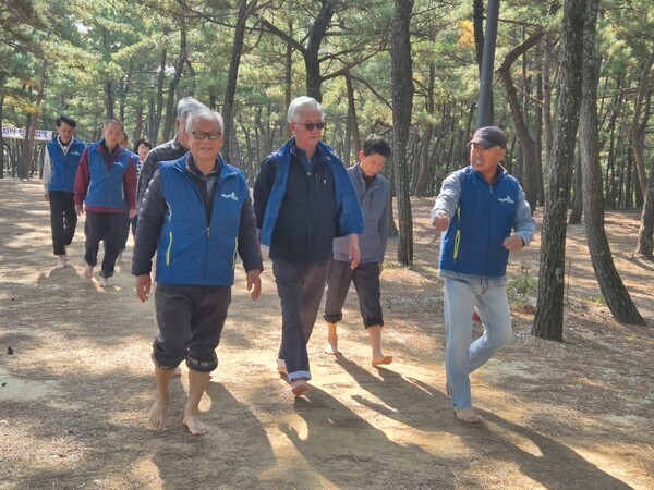 관광객들이 월송정 명품맨발걷기 체험을 하고 있다.ⓒ울진군