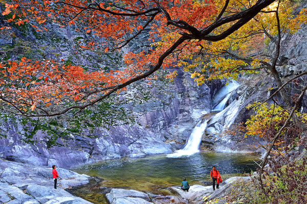 관광객들이 신선계곡에서 단풍과 폭포를 즐기고 있다.ⓒ울진군