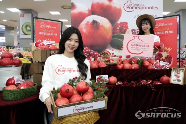 18일 모델들이 석류를 선보이고 있다.(3) [사진 / 오훈 기자]