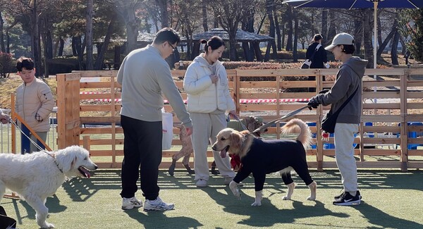  ‘봉화군 반려문화 페스티벌’이 봉화은어송이테마공원에서 열리고 있다.ⓒ봉화군