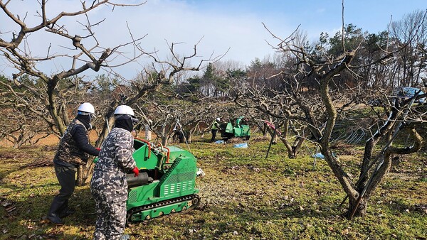 영암군 영농부산물 파쇄지원단 작업 현장. 사진/영암군청
