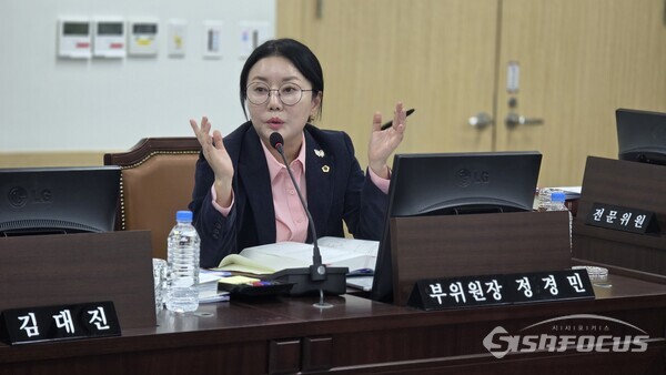 25일 정경민 경북도의원이 경북도 문화체육관광국 예산안 심사에서 경북 나들이 홈페이지 운영과 관련 예산 편성의 적정성에 의문을 제기하고 있다.ⓒ김영삼 기자